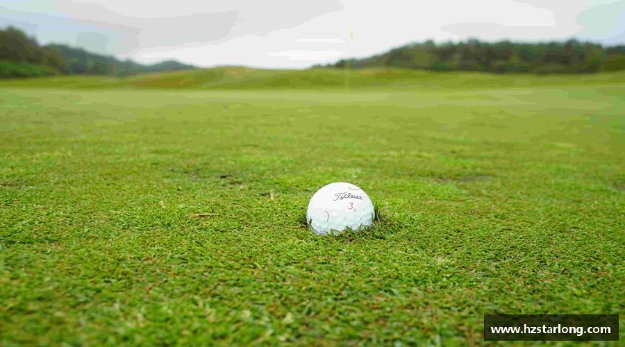 挑战自我，成就非凡